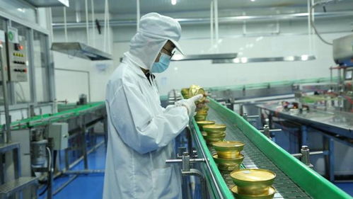 輕創(chuàng)業(yè)避坑指南 燕窩粥代理加盟，廣告設(shè)計(jì)背后品牌選擇是關(guān)鍵